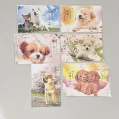 犬のポストカード 9枚セット