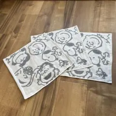 ⑧【今治タオル】ウォッシュタオル　3枚セット