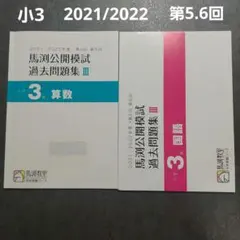 Item thumbnail for item aa76ea8e-a912-44f7-8b1e-101e42251579