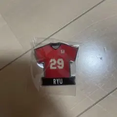 バレーボール グッズ