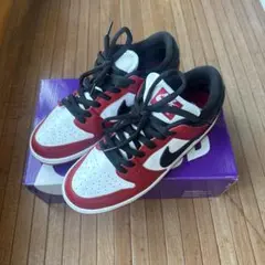 新品未試着 レア Nike Dunk High \
