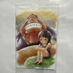 ONE PIECE ワンピース　サウロ　ロビン　ウエハース　カード
