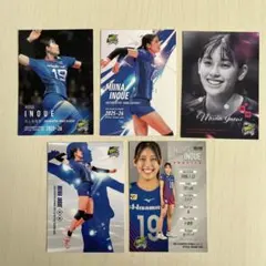 Item thumbnail for item 6f5c25a5-bf1d-47ee-964e-22b3df546cfa