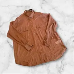 ビス　長袖ブラウス　シャツ　シースルー　ブラウン　フリーサイズ