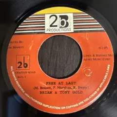Brian & Tony Gold - Free At Last レコード