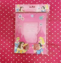 最終値下げ！ディズニー　プリンセス　写真立て　新品♡パリディズニーランド　貴重
