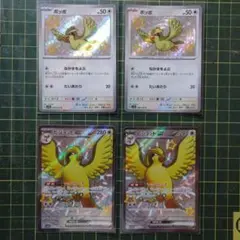 ピジョットex ポッポ