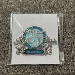 ディズニーシー 25周年 ジュエリーボックス アグラバーマーケット限定