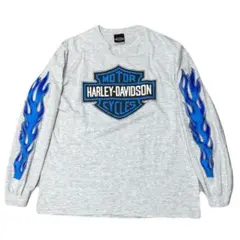 HARLEY DAVIDSON FLAME GRAY ロンT