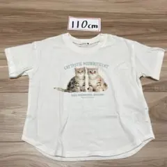 ブランシェス 猫 ねこ cat 半袖 Tシャツ 白 ホワイト 110cm