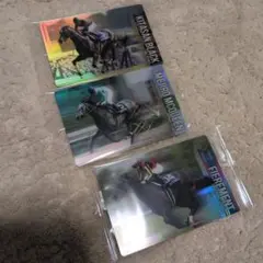 メジロマックイーン・キタサンブラック・フィエールマン トレーディングカードセット