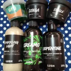 お値下げ☆LUSH メリークリスマスエブリワン＆収穫祭シャワージェル