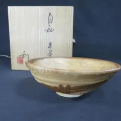 信楽焼 抹茶碗 楽齊 黄釉 平茶碗 茶道具 アンティーク抹茶碗 蔵出 共箱