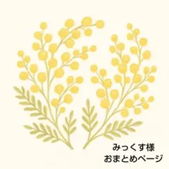 みっくす様 リクエスト 2点 まとめ商品