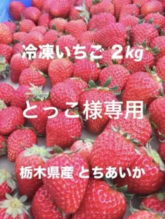 冷凍 八ヶ岳産 完熟高級いちご 900g 味濃いめ 農家直送 残りわずか