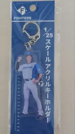 新庄剛志2025 1/25スケールアクリルキーホルダー北海道日本ハム