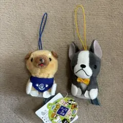 豆しば三兄弟　ぷちまる　ストラップ　キーホルダー　セット