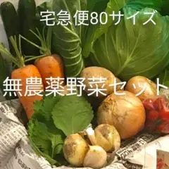 産地直送『野菜の盛り合わせ』Mセットサイズ 栽培期間中、農薬不使用にて栽培のサムネイル