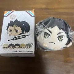 ハイキュー|もちころりん　ぬいぐるみマスコット2|岩泉一