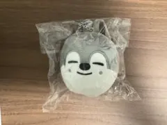 straykids skzoo バンチャン