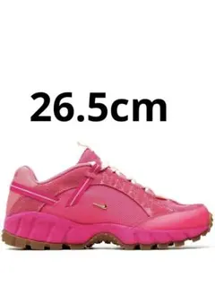 2026年最新】jacquemus nike ピンクの人気アイテム - メルカリ