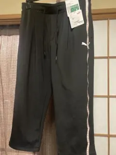 Item thumbnail for item deeb2a8f-1c33-4b21-80d8-5c4e8139c6d3