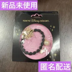 ディズニー　ラプンツェルヘアゴム