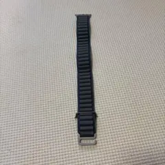 Apple Watch用　ウルトラアルパインループブルー純正品。