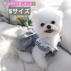 わずか入荷✅新品♡犬服Sサイズ ギンガムチェック柄 ブラック