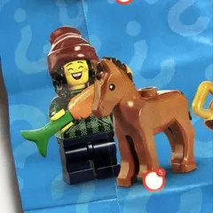 Holic様 リクエスト 2点 まとめ商品