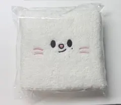 スキズ STRAY KIDS ペンミ 入場 特典 タオル ジニレット ヒョンジン