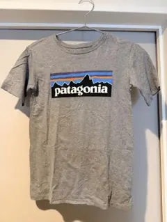 Patagonia パタゴニア Tシャツ グレー M(10)のサムネイル