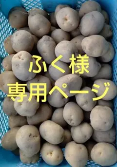 ふく様専用ページです