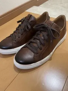 ECCOスパイクレスシューズ BIOM HYBRID ブラウン 28cm - メルカリ