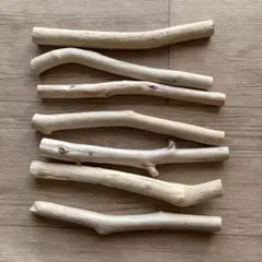 Item thumbnail for item cc12d127-450c-4ec5-98ab-a17384ed2adf