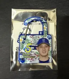 Item thumbnail for item 880900c3-3204-4ed8-a9b8-c42113e2547b