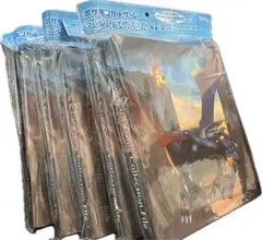 2025年最新】色違いリザードン ファイルの人気アイテム - メルカリ