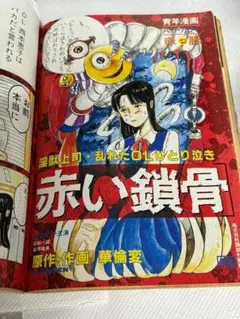 ヤングマガジン 増刊赤BUTA 1995年 華倫変「赤い鎖骨」 ヤングマガジン 増刊赤BUTA 1995年 華倫変「赤い鎖骨」 - メルカリ