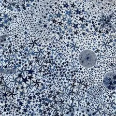 Item thumbnail for item f435531b-1900-4c98-be69-6c56cd2de42d