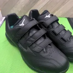 Item thumbnail for item 54c4af02-99ad-41e3-b5ad-3cc8ba1f306c