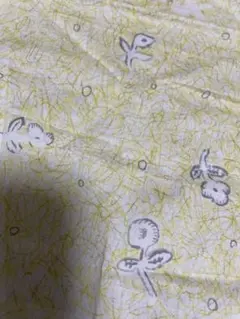 希少リバティ　アンフォーゲッタブルモーメント　皆川明さん