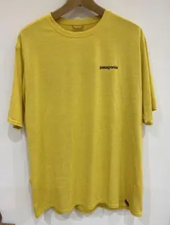 patagonia Capilene Cool Daily Tシャツ Lサイズ