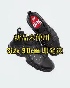 Item thumbnail for item 43f93437-b9e7-4b49-9d94-55370af071e0