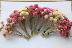 Item thumbnail for item ab80d0b7-4a4d-41b1-b951-230451c7da82