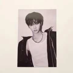 ALD1 アンシン トレカ ポストカード FREAK ALARM ver. 封入