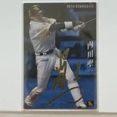 【73】内川聖一 カルビー 2014 金箔サインカード STAR CARD