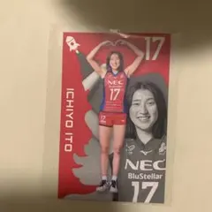 レッドロケッツ 伊藤一葉トレーディングカード 17