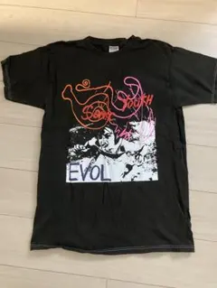 Sonic Youth EVOL Tシャツ 00s L 黒 ソニックユース 白糸のサムネイル