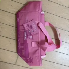 ☆最終お値下げ☆Trader Joe's ミニ保冷バッグ