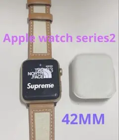 Apple watch 本体